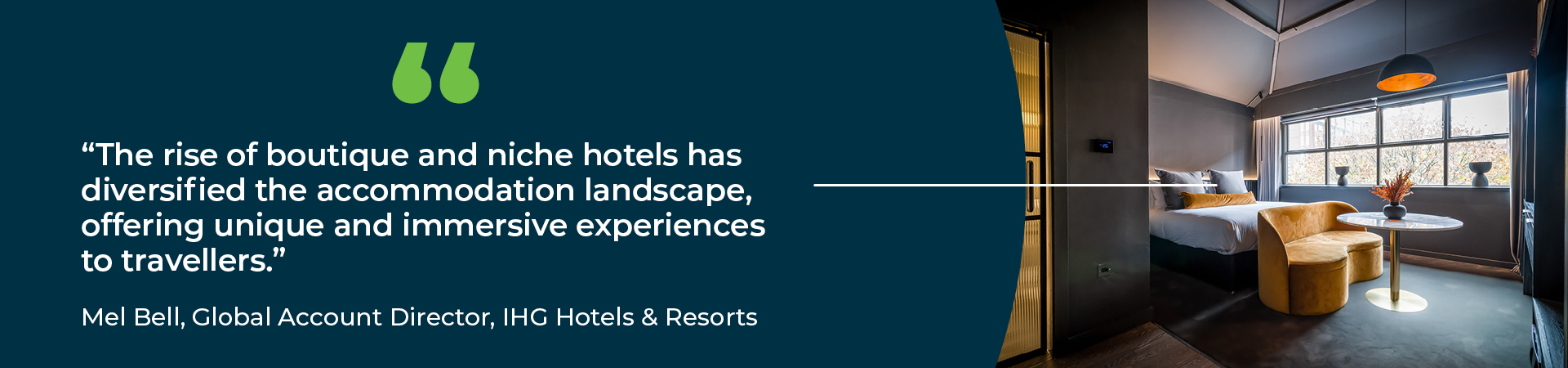 travel supplier infographic