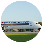 Singapore Airlines aircraft 787 on tarmac
