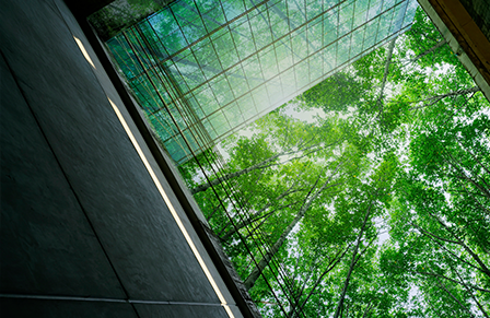 Case Study: Scope 3 Business Travel Emissions